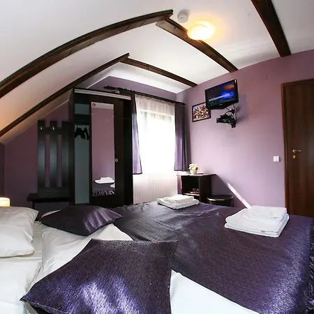 Guest house Romanita Paltinis