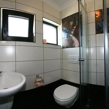 Guest house Romanita 2*