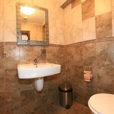 Guest house Romanita Paltinis