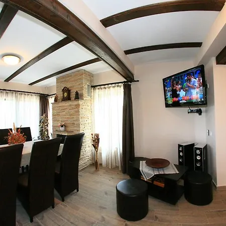 Romanita Guest house Paltinis